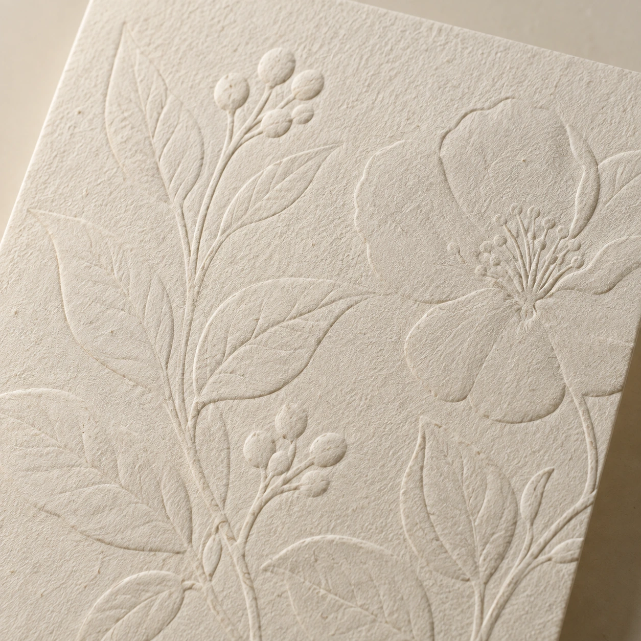 Emboss & deboss illustrative detail
